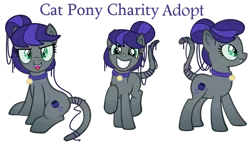 Size: 1024x588 | Tagged: artist:monkfishyadopts, bell, bell collar, cat pony, chest fluff, collar, derpibooru import, female, oc, oc:cat pony, original species, safe, simple background, smiling, transparent background, unofficial characters only