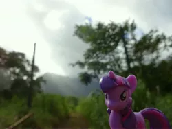 Size: 4896x3672 | Tagged: blind bag, derpibooru import, hawaii, irl, jungle, jurassic park, kauai, mountain, part of a set, photo, photographer:drakkenfyre, ponies around the world, safe, solo, toy, twilight sparkle