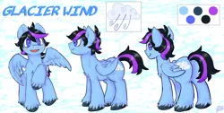 Size: 3000x1517 | Tagged: safe, artist:deep mystery, derpibooru import, oc, oc:glacier wind, unofficial characters only, pegasus, pony, blushing, commission, looking at you, looking back, plot, reference sheet, solo, spread wings, unshorn fetlocks