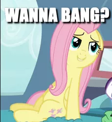 Size: 422x460 | Tagged: bedroom eyes, bronybait, caption, derpibooru import, edit, edited screencap, fluttershy, image macro, implied sex, meme, propositioning, question, screencap, sitting, suggestive, tanks for the memories