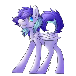 Size: 2448x2448 | Tagged: safe, artist:coralcloud, derpibooru import, oc, unofficial characters only, pegasus, pony, solo