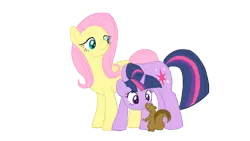 Size: 1600x900 | Tagged: safe, artist:iraecoal, derpibooru import, fluttershy, twilight sparkle, pony, squirrel, female, lesbian, mare, shipping, twishy