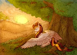 Size: 4324x3058 | Tagged: artist:nightskrill, cute, derpibooru import, eyes closed, field, lying down, oc, oc:golden rain, resting, safe, sleeping, solo, spread wings, sunset, unofficial characters only