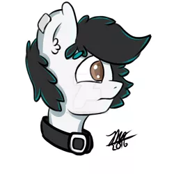 Size: 1024x1024 | Tagged: safe, artist:zuri-the-pony, derpibooru import, oc, oc:zuri, unofficial characters only, pegasus, pony, brown eyes, collar, digital art, ear fluff, fluffy, male, portrait, profile, solo, watermark