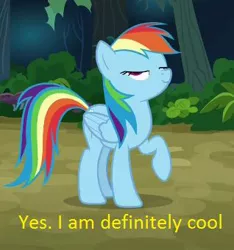 Size: 318x340 | Tagged: bush, caption, derpibooru import, edit, edited screencap, eyes closed, flash of light, high, hoof hold, image macro, meme, paint font, rainbow dash, safe, screencap, stranger than fan fiction, tree