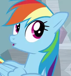 Size: 313x331 | Tagged: safe, derpibooru import, screencap, rainbow dash, pony, stranger than fan fiction, cute, solo