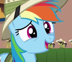 Size: 389x331 | Tagged: safe, derpibooru import, screencap, rainbow dash, pegasus, pony, stranger than fan fiction, cute, dashabetes, female, hat, mare, open mouth, solo