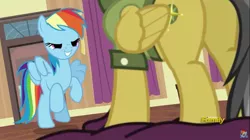 Size: 1281x717 | Tagged: safe, derpibooru import, screencap, daring do, rainbow dash, pony, stranger than fan fiction, female, mare, out of context, plot