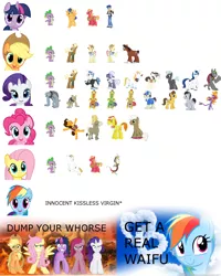 Size: 2000x2500 | Tagged: safe, derpibooru import, applejack, big macintosh, bulk biceps, caramel, carrot cake, cheese sandwich, cranky doodle donkey, discord, fancypants, fido, flam, flash sentry, flim, fluttershy, frederic horseshoepin, hoity toity, lucky clover, package deal, pinkie pie, prince blueblood, rainbow dash, rarity, rover, shining armor, spike, spot, steven magnet, thunderlane, trenderhoof, trouble shoes, twilight sparkle, diamond dog, donkey, earth pony, pony, 4chan, bronybait, chart, delivery pony, drama bait, infidelity, male, mane six, nerd pony, royal guard, shipping list, spike gets all the mares, stallion, straight, virgin, waifu, waifu wars