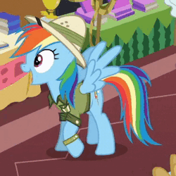 Size: 294x294 | Tagged: safe, derpibooru import, screencap, daring do, rainbow dash, pony, stranger than fan fiction, adorkable, animated, clothes, cute, dashabetes, dork, excited, happy, hat, loop, prancing, solo, spread wings, trotting, trotting in place