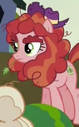 Size: 328x530 | Tagged: safe, derpibooru import, screencap, tree h. hooffield, earth pony, pony, the hooffields and mccolts, background pony, cropped, female, hat, hooffield family, mare, solo, straw in mouth, thick eyebrows