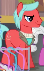 Size: 335x542 | Tagged: safe, derpibooru import, screencap, swanky hank, pony, rarity takes manehattan, background pony, cropped, solo focus