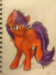 Size: 2448x3264 | Tagged: artist:snowfoxythefox, colored, colored pencil drawing, colored sketch, derpibooru import, pencil, pencil drawing, safe, scootaloo, smiling, smirk, solo, traditional art