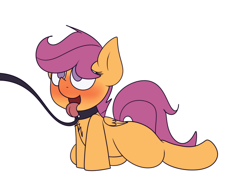 Size: 1137x877 | Tagged: suggestive, artist:mr. rottson, deleted from derpibooru, derpibooru import, scootaloo, blushing, chest fluff, collar, female, leash, open mouth, pet play, scootapet, simple background, solo, solo female, tongue out, transparent background