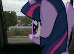 Size: 3264x2392 | Tagged: artist:riniginianna, building, bus, derpibooru import, irl, photo, ponies in real life, safe, shadow, solo, tree, twilight sparkle, vector, window