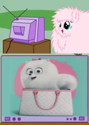 Size: 510x715 | Tagged: derpibooru import, exploitable meme, gidget, meme, obligatory pony, oc, oc:fluffle puff, safe, the secret life of pets, tv meme, unofficial characters only