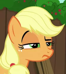 Size: 396x443 | Tagged: safe, derpibooru import, screencap, applejack, earth pony, pony, the cart before the ponies, applejack is not amused, cropped, female, hatless, lidded eyes, mare, missing accessory, raised eyebrow, reaction image, solo, unamused, unconvinced applejack, unimpressed