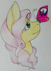 Size: 1652x2321 | Tagged: safe, artist:swagpony135, derpibooru import, fluttershy, butterfly, bust, insect on nose, looking at something, looking up, portrait, profile, simple background, solo, traditional art