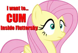 Size: 795x540 | Tagged: suggestive, derpibooru import, fluttershy, pegasus, pony, female, frozen, iwtcird, mare, meme, oh my, shocked, simple background, solo, startled, statement, vector, vulgar, white background