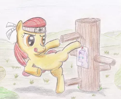 Size: 1267x1036 | Tagged: apple bloom, artist:osakaoji, derpibooru import, diamond tiara, karate, karatebloom, karate kid, safe, traditional art