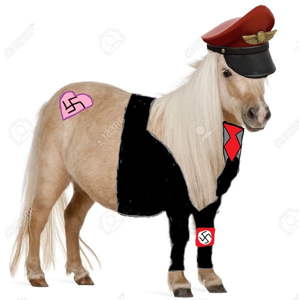 Size: 1220x1224 | Tagged: safe, derpibooru import, oc, unofficial characters only, horse, pony, 1000 hours in ms paint, armband, clothes, heart, irl, irl horse, ms paint, nazi, necktie, photo, shitposting, solo, swastika, team captain, uniform