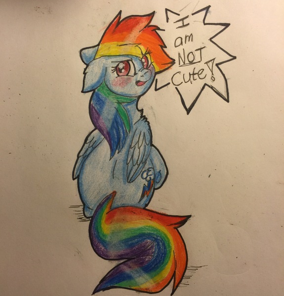 Size: 2448x2553 | Tagged: safe, artist:snowfoxythefox, derpibooru import, rainbow dash, adashable, angry, ballpoint pen, blatant lies, blushing, colored, colored pencil drawing, colored sketch, cute, dashabetes, female, floppy ears, i'm not cute, pencil, pencil drawing, scrunchy face, simple background, solo, speech bubble, talking, talking to viewer, traditional art, tsunderainbow, tsundere