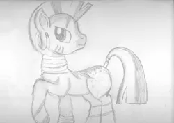 Size: 3504x2480 | Tagged: artist:jbond, derpibooru import, monochrome, raised hoof, safe, simple background, solo, traditional art, white background, zebra, zecora