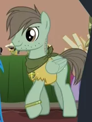 Size: 387x514 | Tagged: safe, derpibooru import, screencap, unnamed pony, pegasus, pony, stranger than fan fiction, background pony, clothes, cropped, male, neckerchief, shirt, solo, stallion, stubble, torn clothes