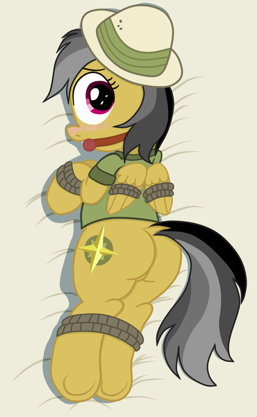 Size: 1894x3074 | Tagged: artist:an-tonio, artist:lord waite, ballgag, blushing, bondage, colored, daring daki, daring do, daring donk, derpibooru import, dock, female, gag, plot, rope, solo, solo female, stranger than fan fiction, suggestive