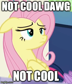 Size: 295x344 | Tagged: safe, derpibooru import, screencap, fluttershy, pony, 28 pranks later, cropped, crossed arms, crossed hooves, dawg, hug life, meme