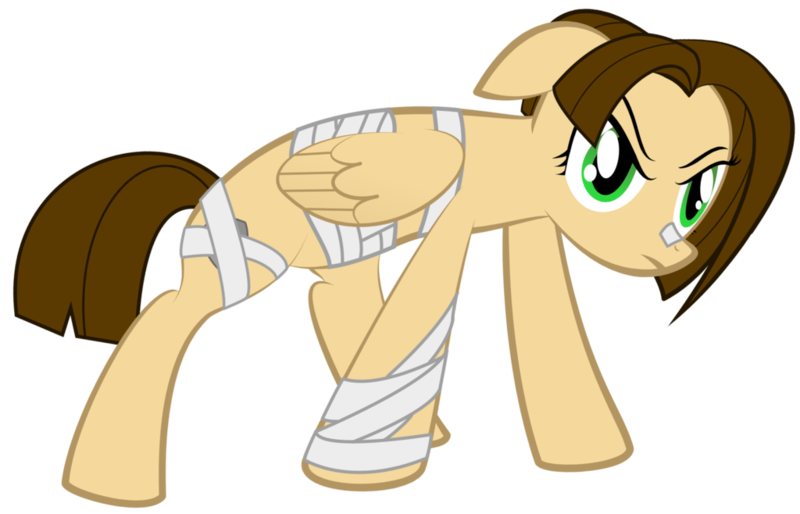 Size: 1024x658 | Tagged: safe, artist:avarick, derpibooru import, oc, oc:kite, unofficial characters only, pegasus, pony, bandage, fantasy class, knight, solo, warrior