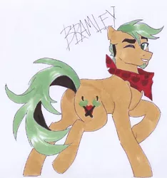 Size: 378x404 | Tagged: safe, artist:frozensoulpony, derpibooru import, oc, oc:bramley apple, unofficial characters only, offspring, parent:applejack, parent:jet set, parents:applejet, solo, traditional art