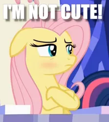 Size: 421x473 | Tagged: 28 pranks later, blatant lies, blushing, caption, crossed arms, cute, denial, derpibooru import, edit, edited screencap, fluttershy, fluttertsun, image macro, i'm not cute, looking away, meme, safe, screencap, shyabetes, tsundere