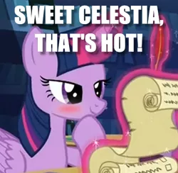 Size: 435x424 | Tagged: safe, derpibooru import, edit, edited screencap, screencap, twilight sparkle, twilight sparkle (alicorn), alicorn, pony, the crystalling, bedroom eyes, blushing, caption, hoof on chin, image macro, meme