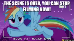 Size: 768x432 | Tagged: safe, derpibooru import, rainbow dash, acting, breaking the fourth wall, confused, flying, image macro, meme
