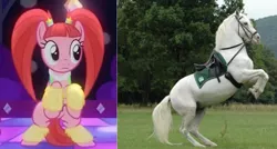Size: 1173x629 | Tagged: safe, derpibooru import, screencap, pacific glow, horse, pony, the saddle row review, comparison, horses doing horse things, lipizzaner, rearing, twins