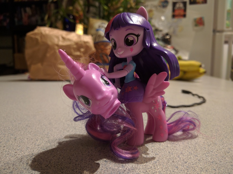 Size: 4000x2992 | Tagged: safe, derpibooru import, twilight sparkle, centaur, equestria girls, clothes, decapitated, doll, equestria girls minis, irl, not salmon, photo, severed head, skirt, toy, wat, what has magic done