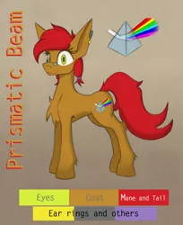 Size: 4257x5209 | Tagged: safe, artist:wingedthoughts, derpibooru import, oc, oc:prismatic beam, unofficial characters only, earth pony, pony, absurd resolution, colors, cute, cutie mark, female, glasses, piercing, reference sheet, solo