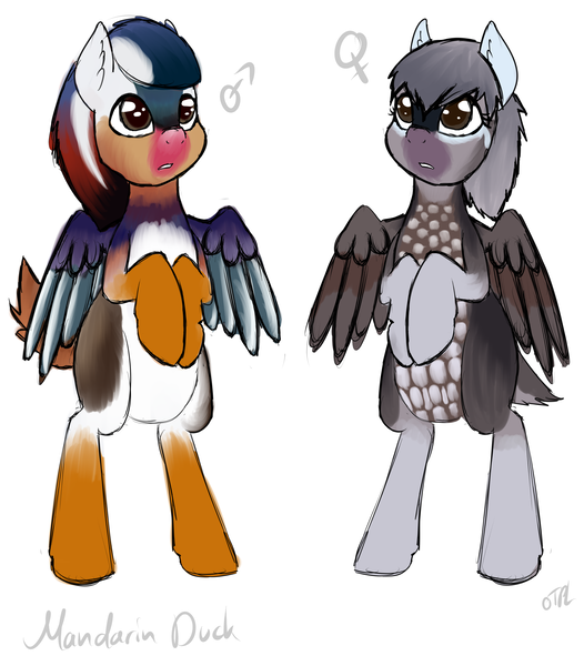 Size: 2893x3303 | Tagged: safe, artist:otpl, derpibooru import, oc, unofficial characters only, bird pone, duck, pegasus, pony, 4chan, bipedal, ear fluff, mandarin duck, oc x oc, shipping, simple background, white background