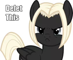 Size: 4023x3327 | Tagged: safe, artist:outlawedtofu, derpibooru import, oc, oc:astral, unofficial characters only, pegasus, pony, fallout equestria: outlaw, angry, caption, delet this, frown, grumpy, image macro, simple background, solo, transparent background, vector
