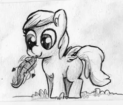 Size: 896x765 | Tagged: safe, artist:the-wag, derpibooru import, chirpy hooves, pegasus, pony, feather, filly, grayscale, monochrome, solo