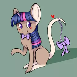 Size: 1300x1300 | Tagged: artist:missmeower, derpibooru import, mouse, mousified, safe, solo, species swap, twilight sparkle, twimouse