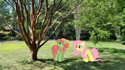 Size: 1087x611 | Tagged: artist:davidsfire, artist:lilcinnamon, artist:thedoubledeuced, derpibooru import, fluttershy, irl, photo, ponies in real life, safe, shadow, tree, tree hugger, vector