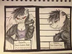 Size: 720x540 | Tagged: anthro, anthro oc, artist:dragoncatart, clothes, derpibooru import, jacket, leather jacket, middle finger, mugshot, oc, oc:revi stiletto, piercing, red eyes, safe, solo, traditional art, unofficial characters only