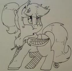 Size: 1280x1269 | Tagged: safe, artist:notenoughapples, derpibooru import, oc, oc:fluf, unofficial characters only, bat pony, pony, bat ponified, chest fluff, inktober, monochrome, race swap, solo, traditional art