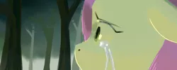 Size: 1000x400 | Tagged: artist:swomswom, crying, derpibooru import, floppy ears, fluttershy, forest, safe, solo