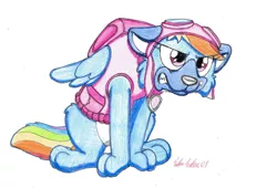 Size: 1332x904 | Tagged: safe, artist:silversimba01, derpibooru import, rainbow dash, dog, pony, clean, clothes, costume, dogified, fanart, female, outfit, show, solo, species swap, traditional art