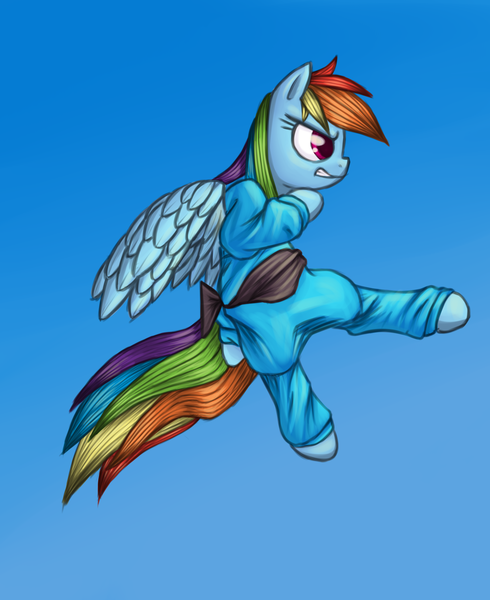 Size: 1767x2162 | Tagged: artist:lurarin, black belt, derpibooru import, kung fu, rainbow dash, safe, solo