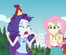 Size: 429x360 | Tagged: safe, derpibooru import, edit, edited screencap, screencap, fluttershy, rarity, bird, equestria girls, legend of everfree, legend of everfree - bloopers, animated, animated actors, birb, blooper, bracelet, cropped, eyes closed, fast, flapping, frown, gif, jewelry, lemme smash, marshmelodrama, meme, messy mane, open mouth, ornithophobia, screaming, smiling, songbird, wide eyes
