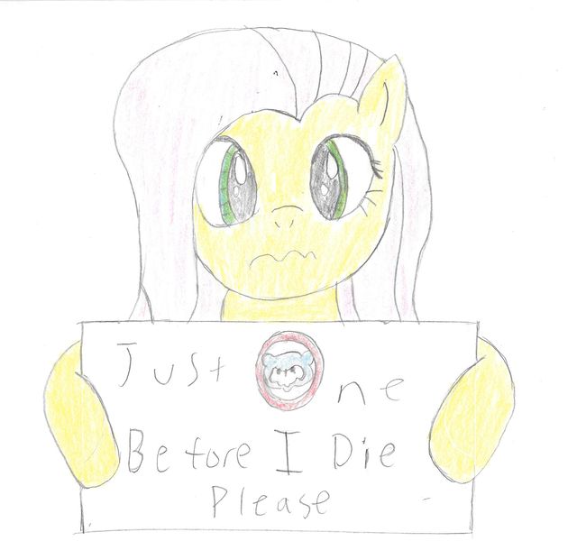 Size: 1695x1590 | Tagged: artist:2shyshy, awesome in hindsight, bust, chicago cubs, derpibooru import, fluttershy, hilarious in hindsight, looking at you, portrait, safe, sign, simple background, solo, traditional art, wavy mouth, white background, wrong eye color